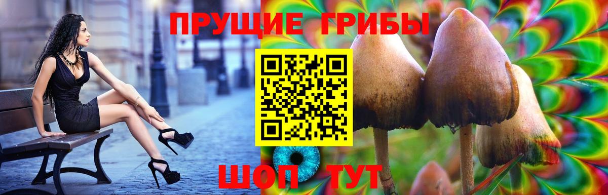 Обь  Псилоцибиновые грибы GOLDEN TEACHER  Вход с VPN 